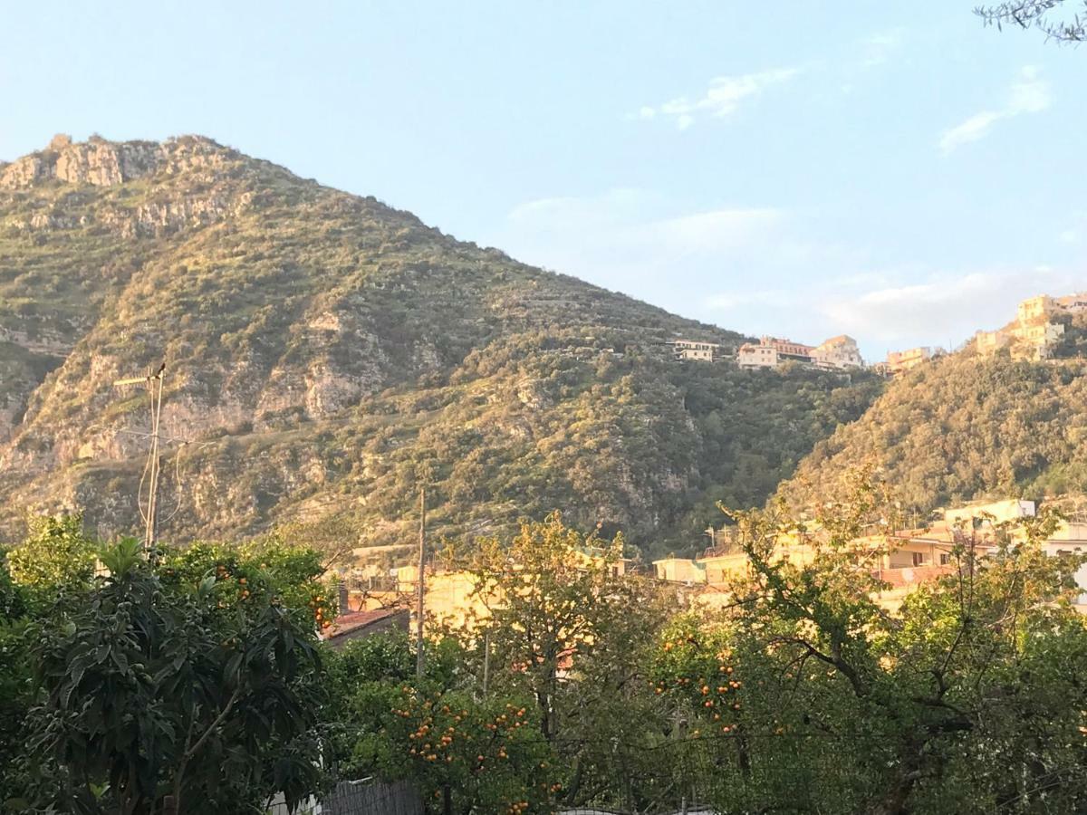Metahome Sorrento Zewnętrze zdjęcie
